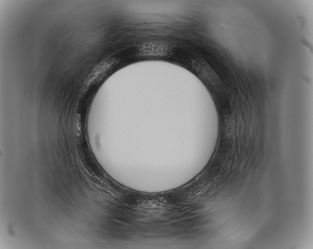 X0000097980731200804141116