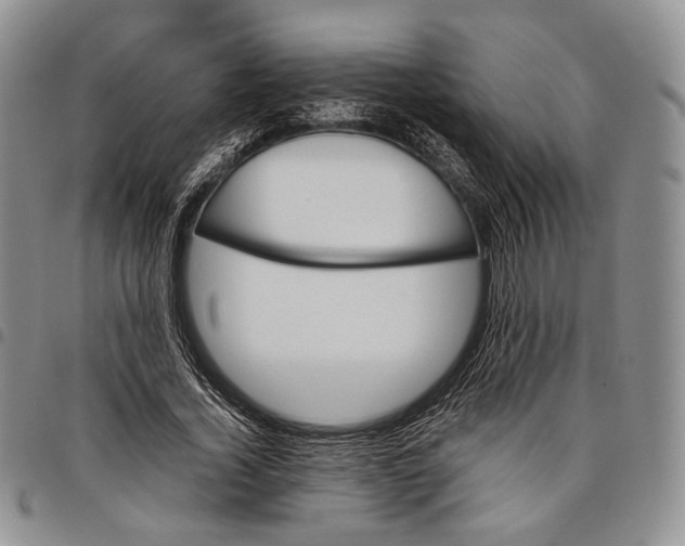 X0000097980732200804141116