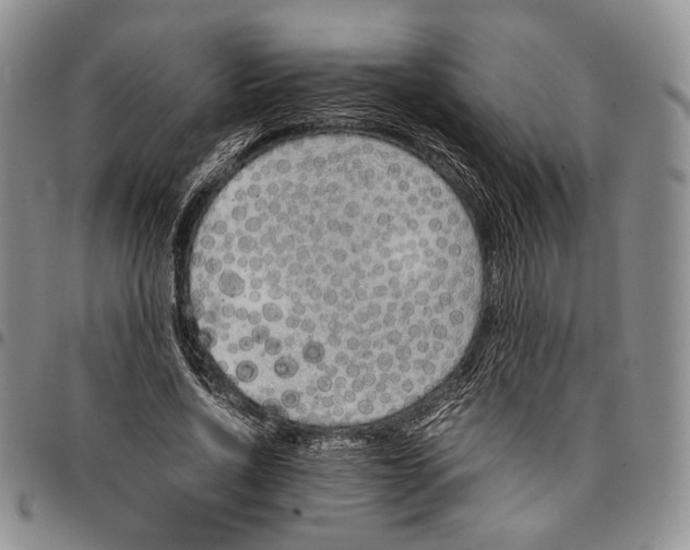 X0000097980734200804141117