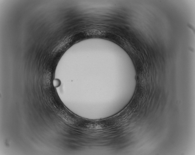 X0000097980735200804141117