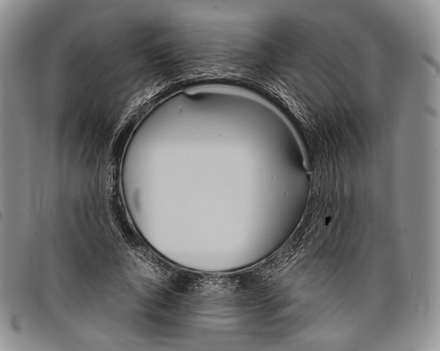 X0000097980736200804141117