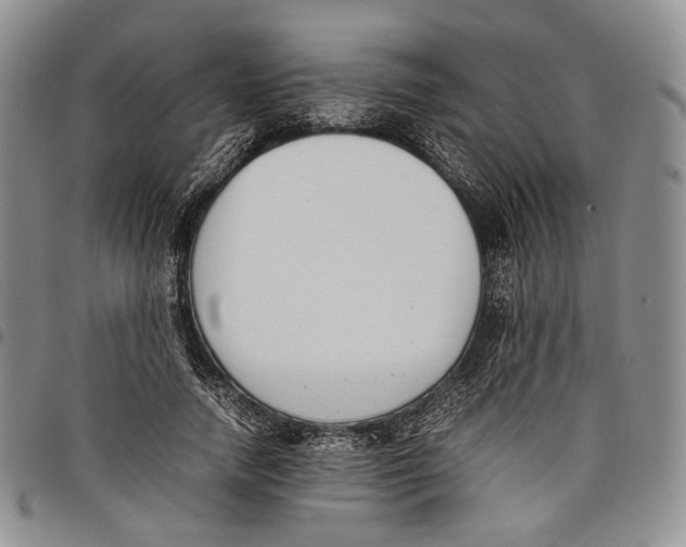 X0000097980738200804141117