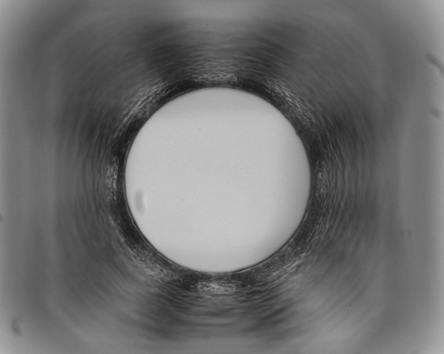 X0000097980739200804141117