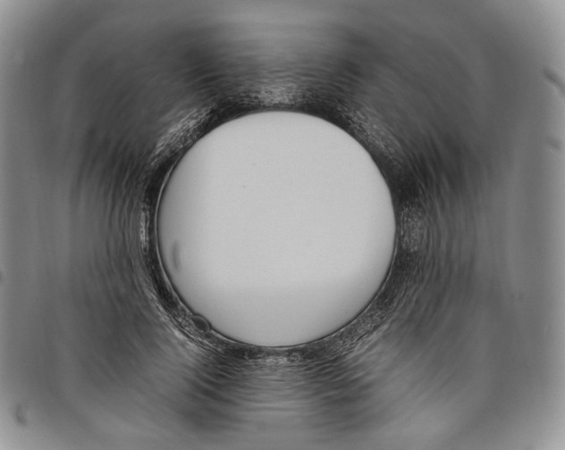 X0000097980740200804141117