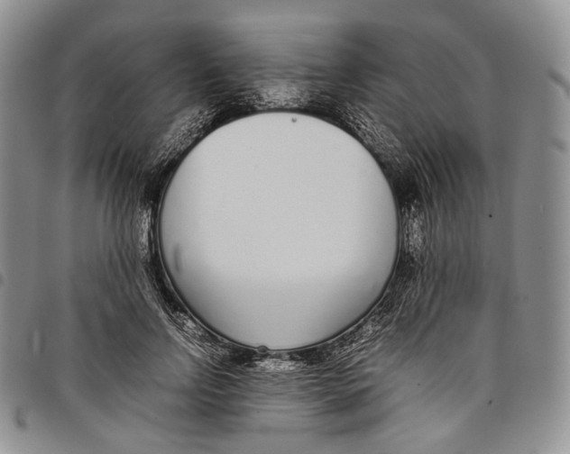 X0000097980742200804141117