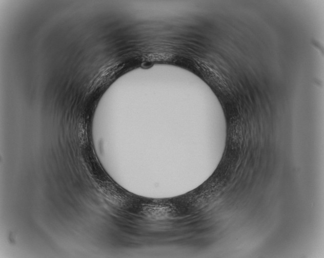 X0000097980743200804141117