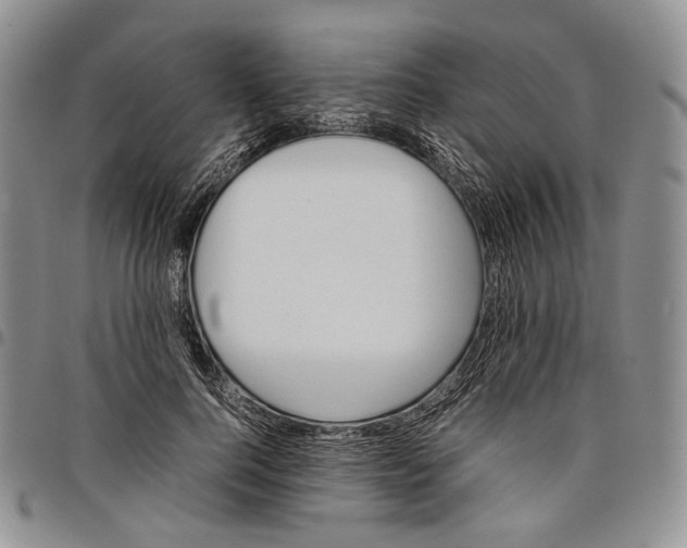 X0000097980744200804141117