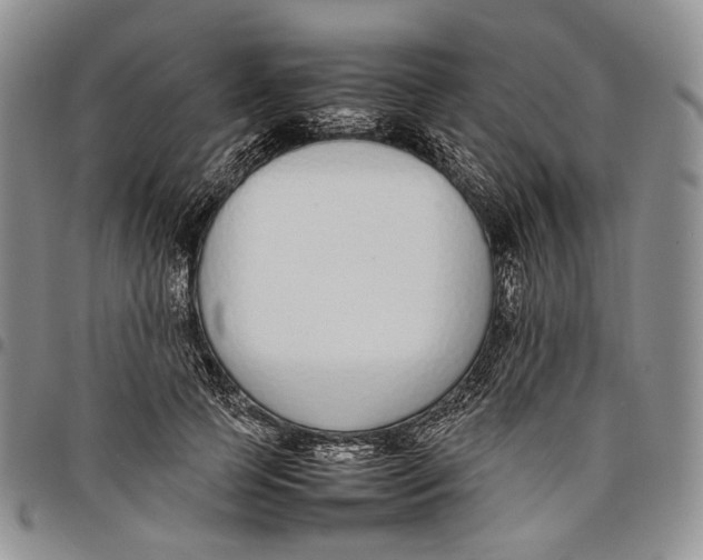 X0000097980745200804141117