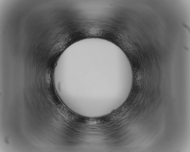 X0000097980746200804141117