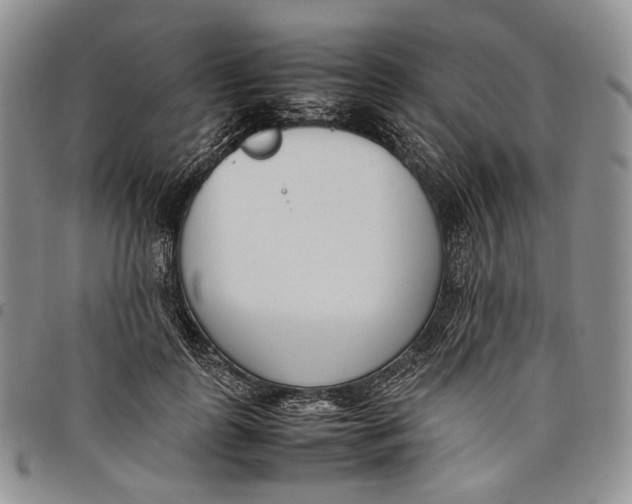 X0000097980747200804141117