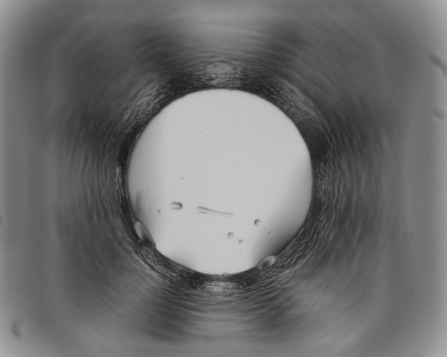 X0000097980748200804141117