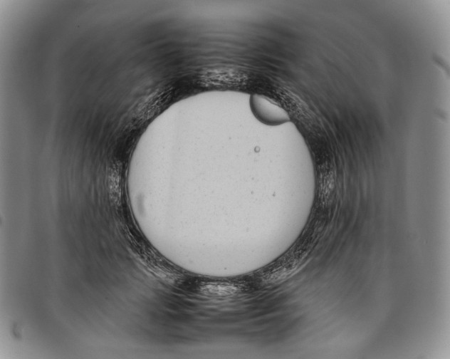 X0000097980749200804141117