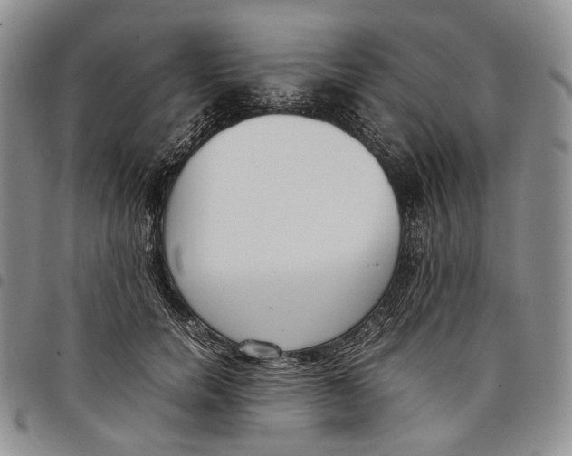 X0000097980750200804141117