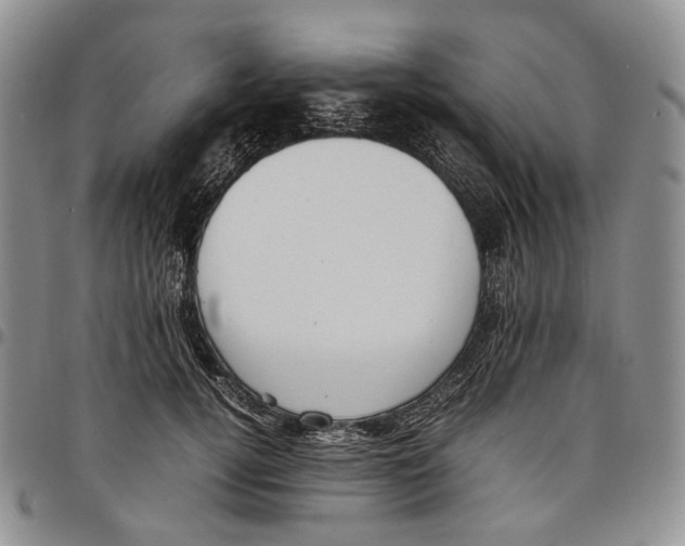 X0000097980752200804141117