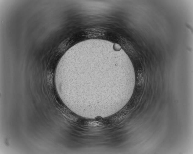 X0000097980753200804141117