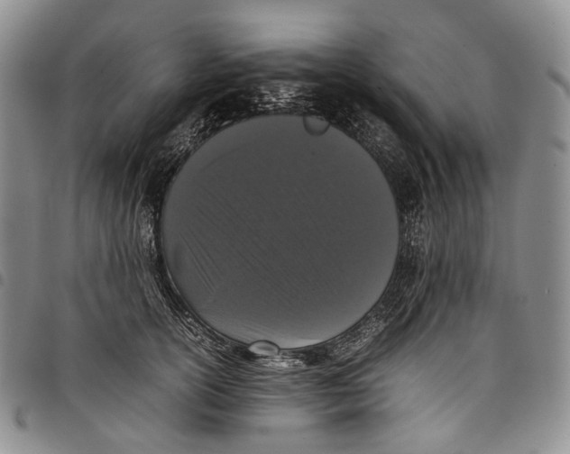 X0000097980754200804141117