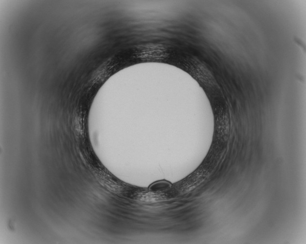 X0000097980755200804141117