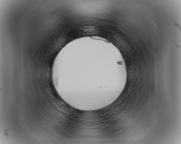 X0000097980756200804141117