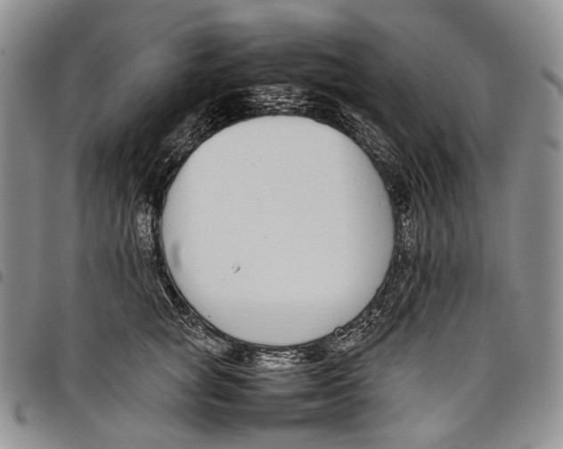 X0000097980757200804141117