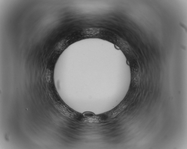 X0000097980758200804141117