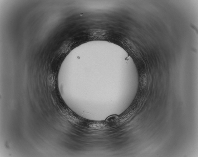 X0000097980759200804141117