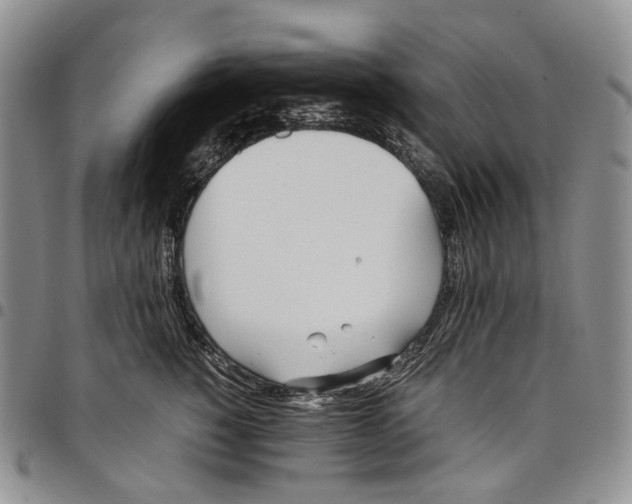 X0000097980760200804141117