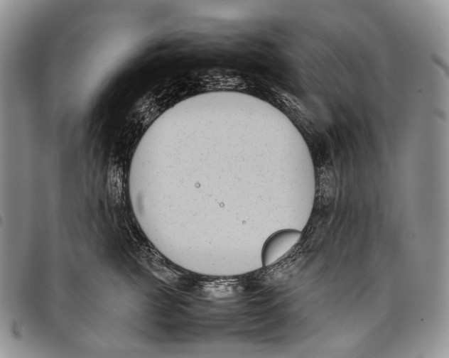 X0000097980761200804141117