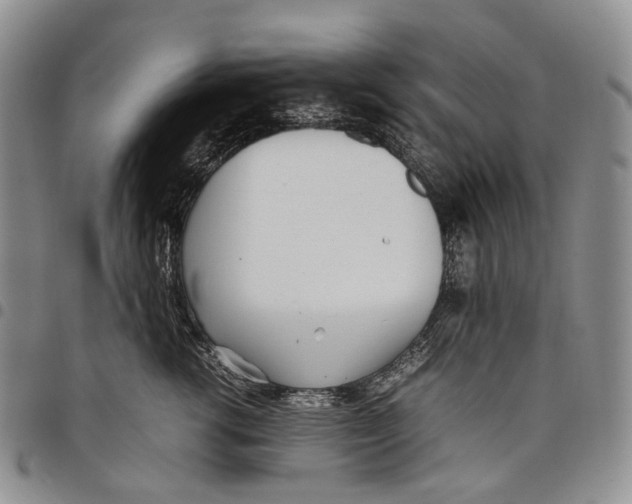 X0000097980762200804141117