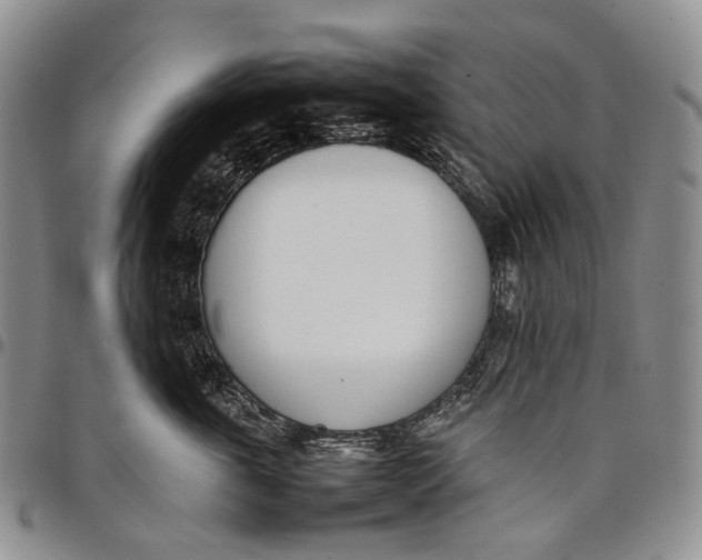 X0000097980763200804141117