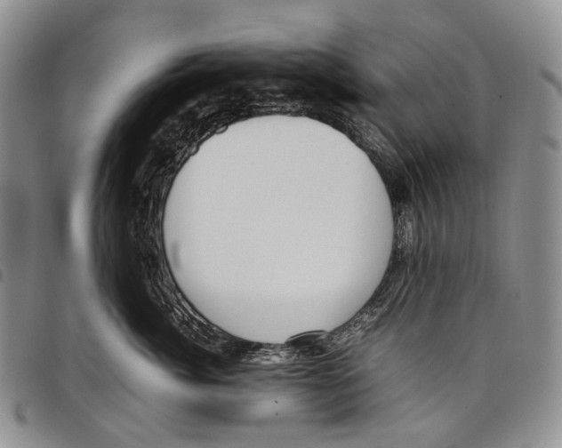 X0000097980764200804141117