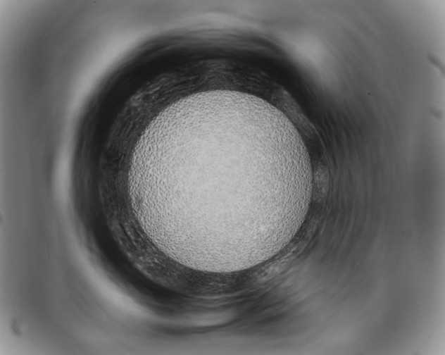 X0000097980765200804141117