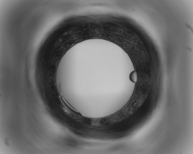 X0000097980766200804141117