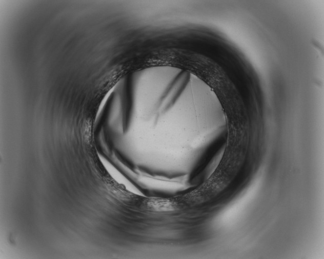 X0000097980767200804141117