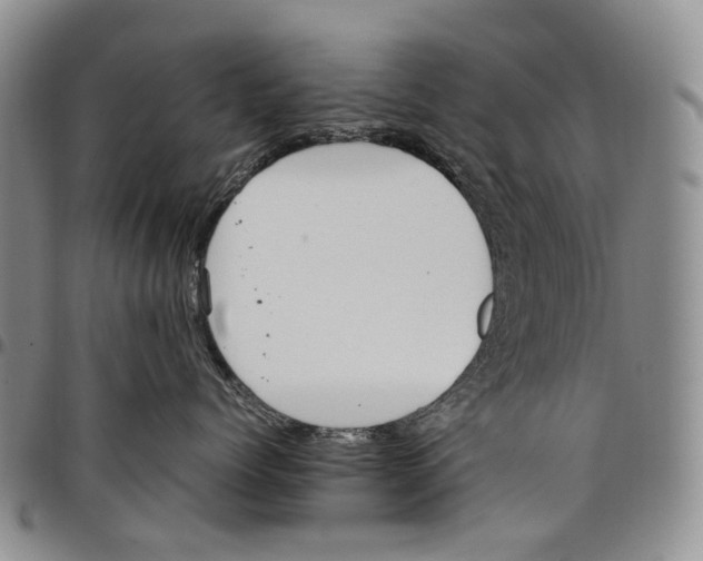 X0000097980768200804141117