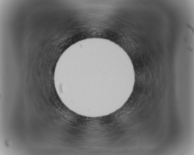 X0000097980769200804141116