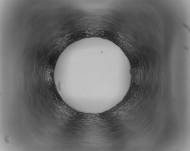 X0000097980770200804141116