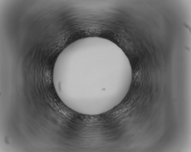 X0000097980772200804141116