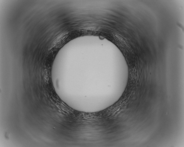 X0000097980774200804141116