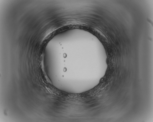 X0000097980775200804141116