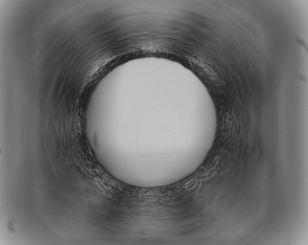 X0000097980776200804141116