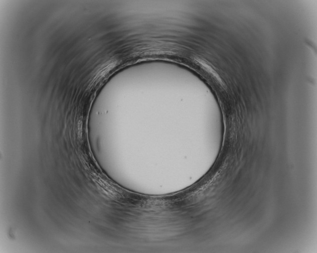 X0000097980777200804141116