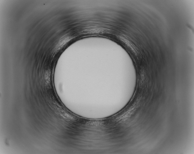 X0000097980778200804141116