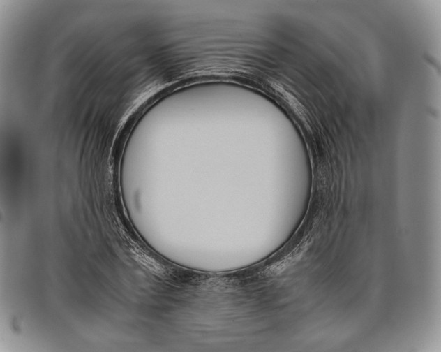 X0000097980779200804141116