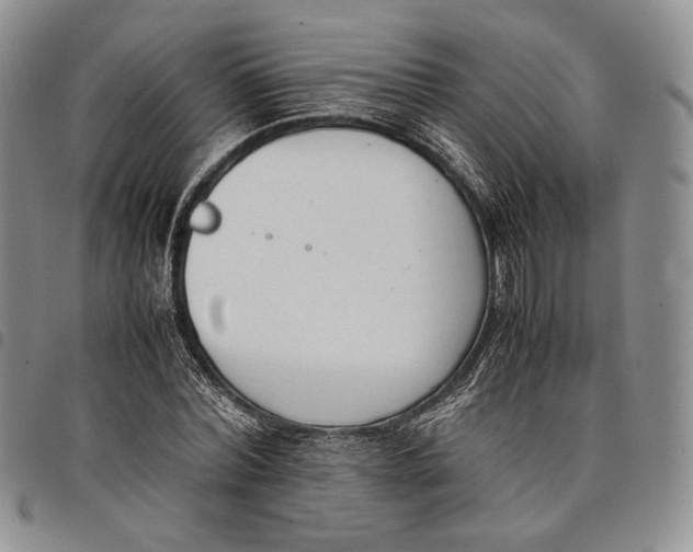 X0000097980780200804141116