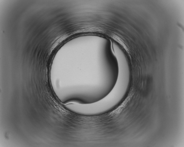 X0000097980781200804141116