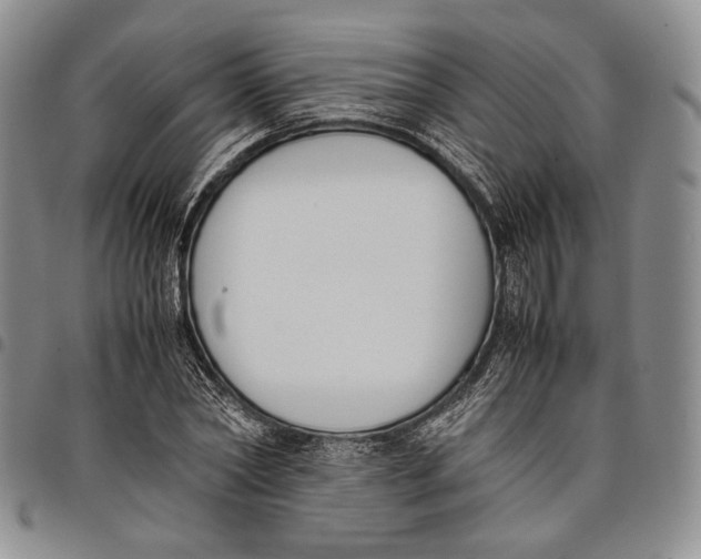 X0000097980782200804141116