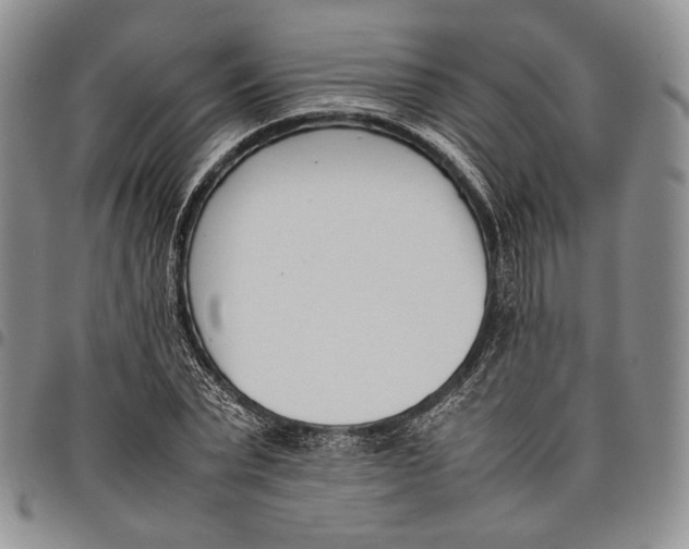 X0000097980783200804141116