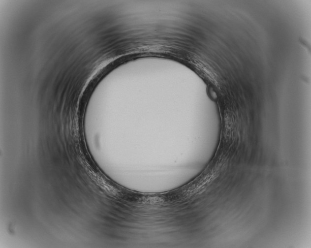 X0000097980784200804141116