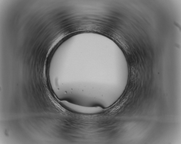 X0000097980788200804141116