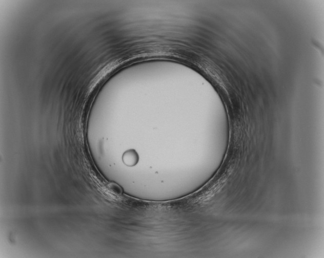 X0000097980789200804141116